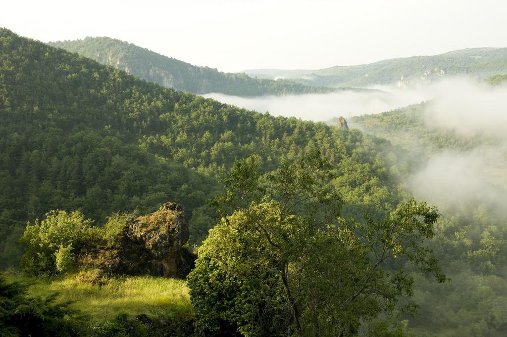 Le Colombier Saint-Veran La Roque-Sainte-Marguerite Εξωτερικό φωτογραφία