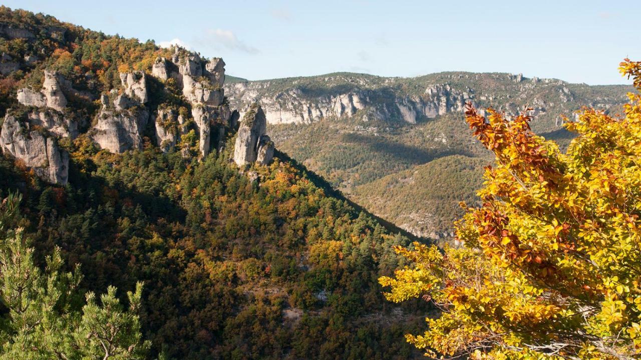 Le Colombier Saint-Veran La Roque-Sainte-Marguerite Εξωτερικό φωτογραφία